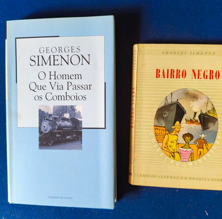 O Homem Que Via Passar os Comboios - G. Simenon