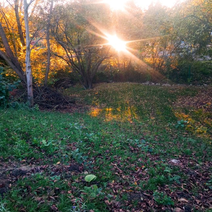 Promocja Noworoczna. Aktualna do konca roku. Sprzedam dzialke budowlan