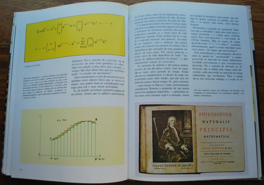 A Matemática O Romance dos Números de Giancarlo Masini
