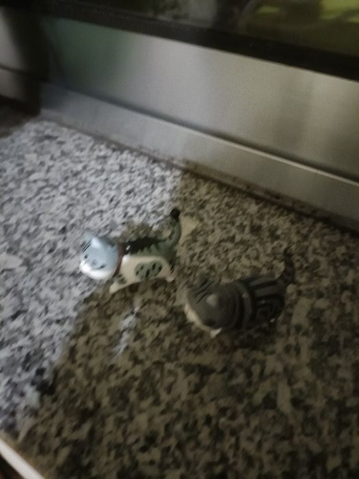 2 bonecos decoração gatos cor cinzento e branco ( Portes gratis )