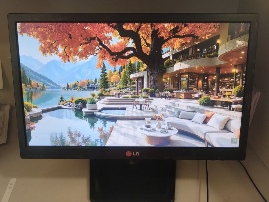 Монітор LG Flatron 19EN33S