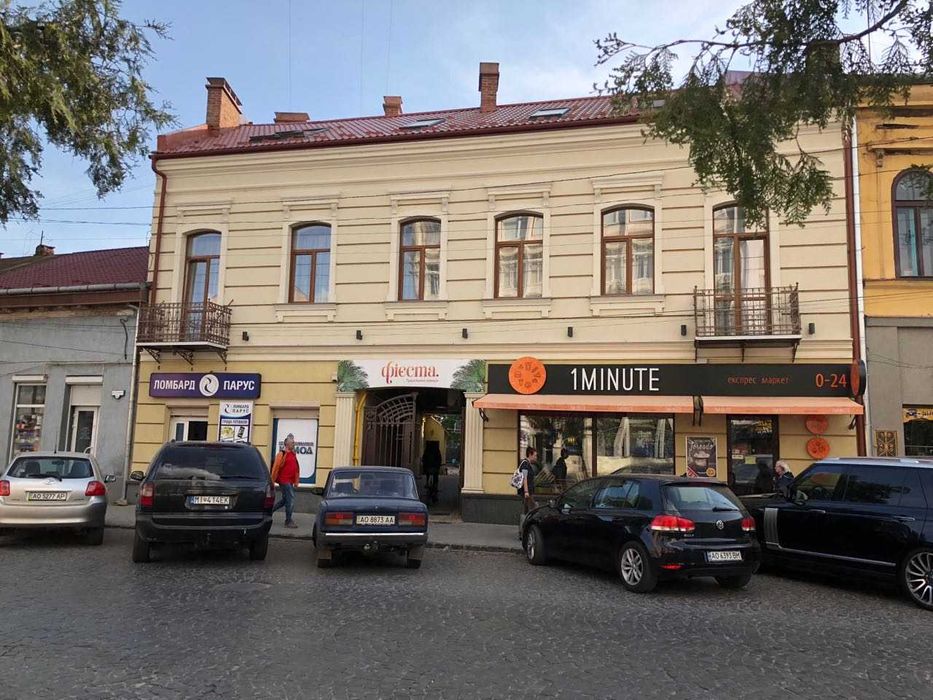 Сучасна квартира подобово в центрі міста (вул. Мукачівська 4/10)