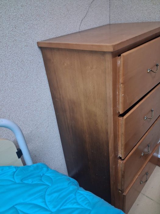 Camiseiro Usado Castanho