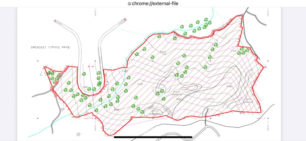 Terreno com 16 hectares para aviários, vinha ou paineis fotovoltaicos