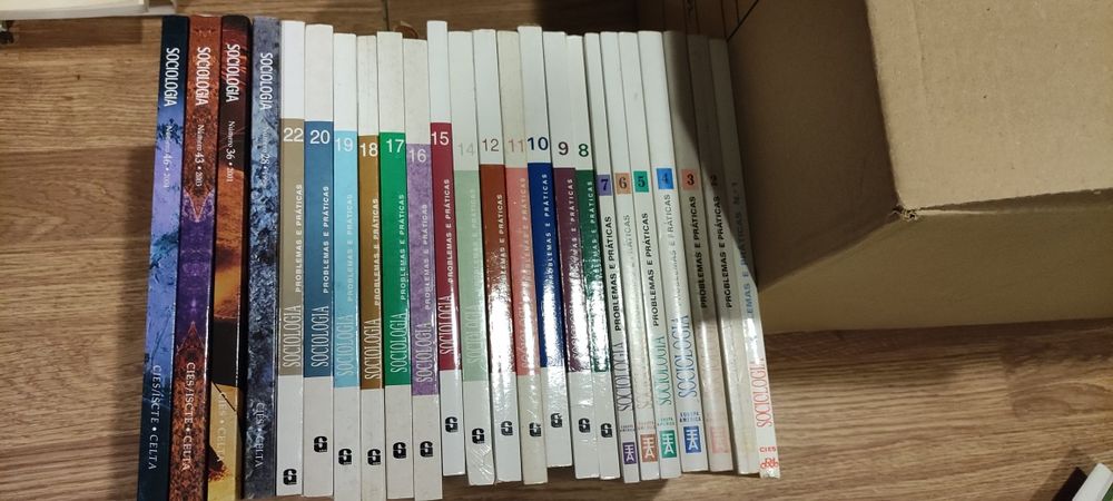 Sociologia Problemas e Práticas