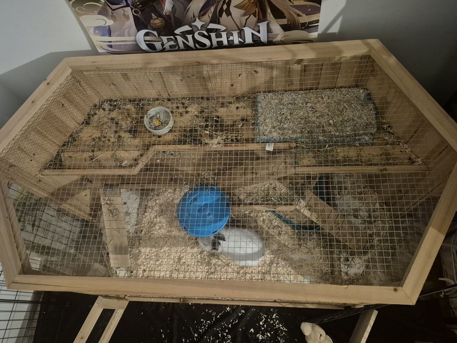 Sprzedam klatkę dla gryzonia