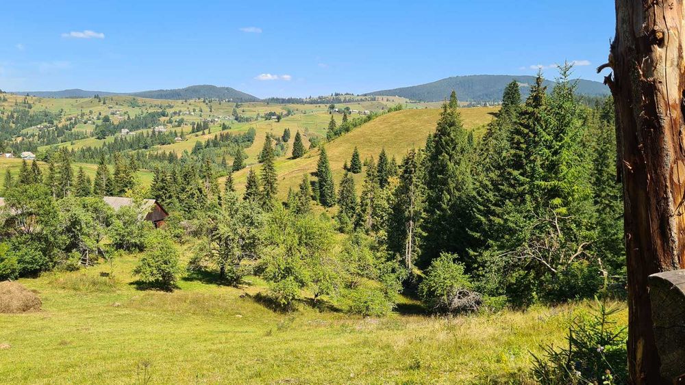 Продам земельну ділянку у с. Яблуниця 2.65га