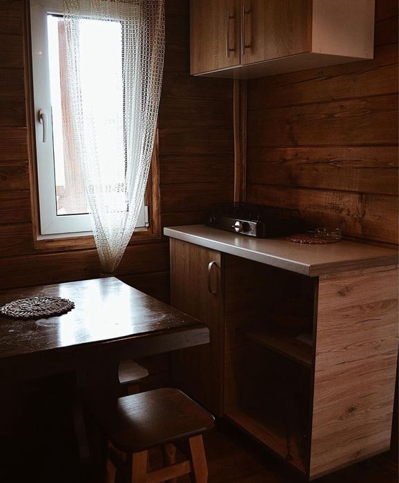 Будинок в Карпатах, ГК «Плай»