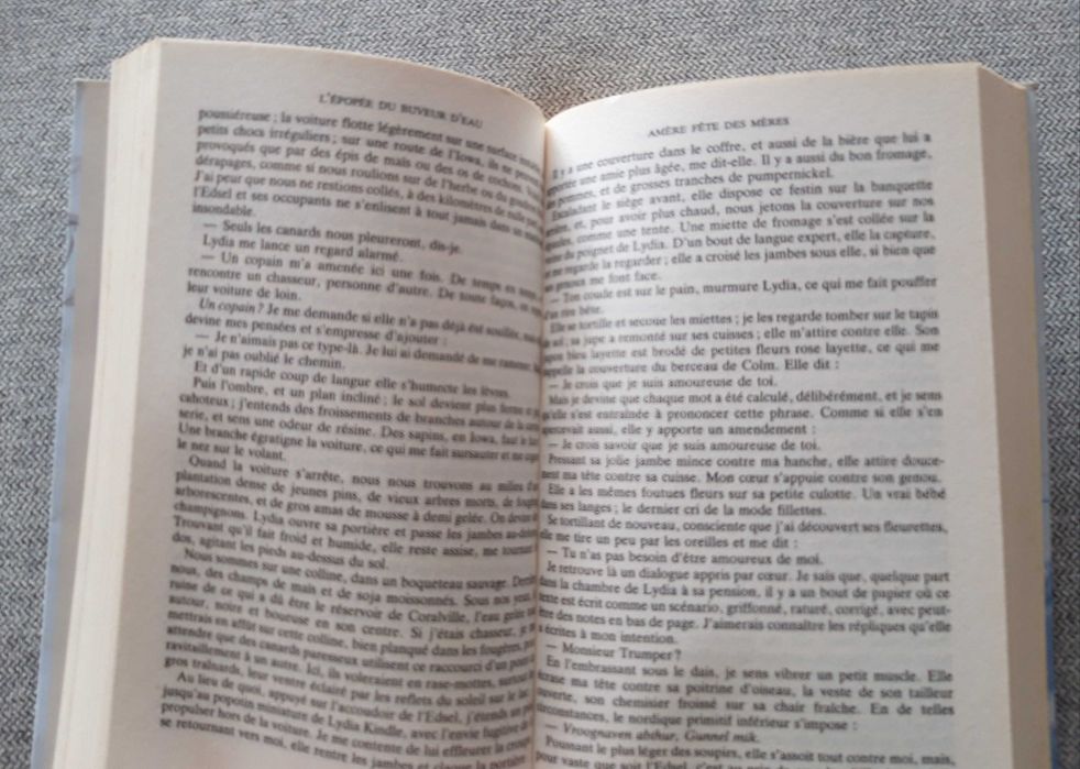 Livro "L'épopée du buveur d'eau" de John Irving