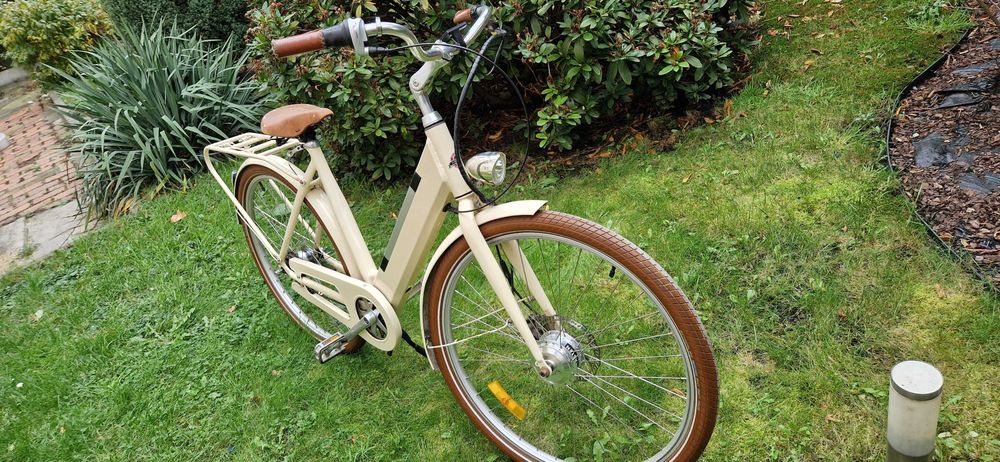 rower elektryk stalhasten