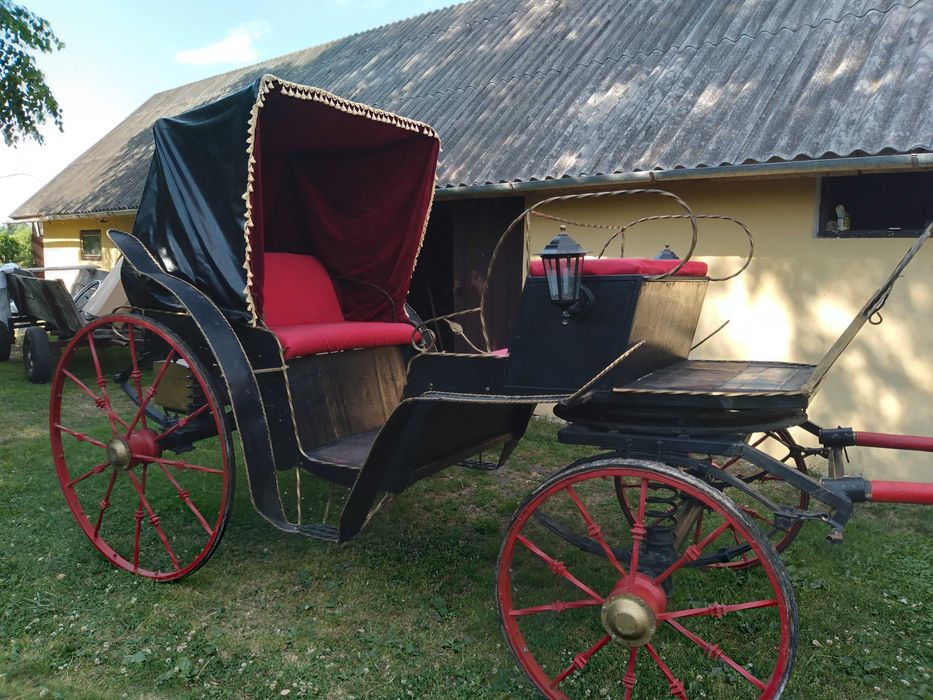 Продам карети на ходу