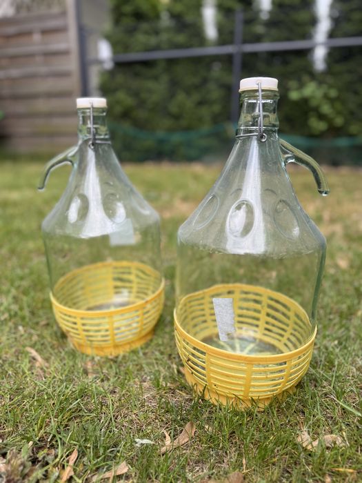 Gąsior Dama 5L w koszyku plastikowym