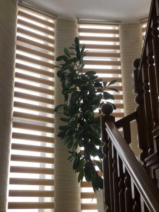 Рулонні штори, день-ніч, Жалюзі