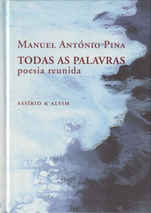 Todas as Palavras - Manuel António Pina