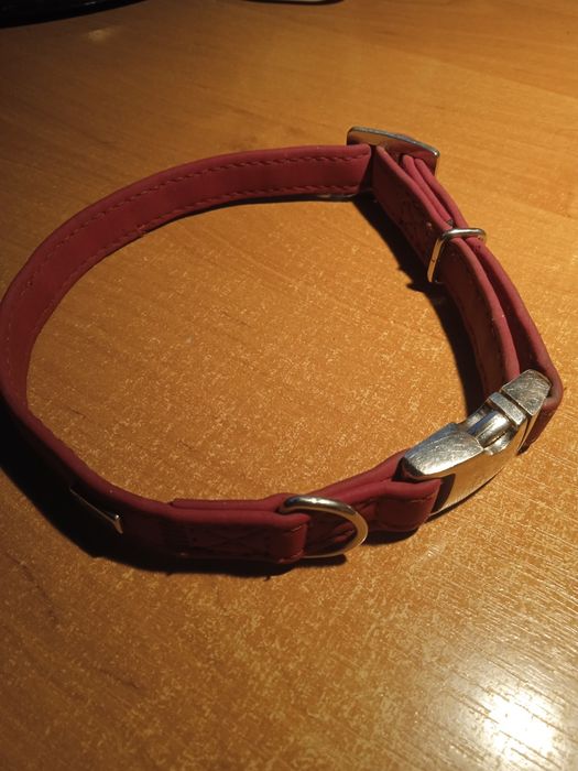 Нашийник для собак Hunter