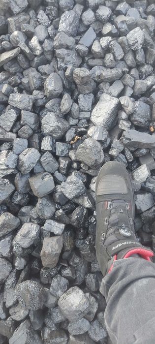 Węgiel kamienny Orzech Kazachstan