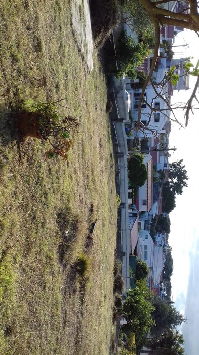 Terreno urbano 1080 M2 Marisol Quintinhas