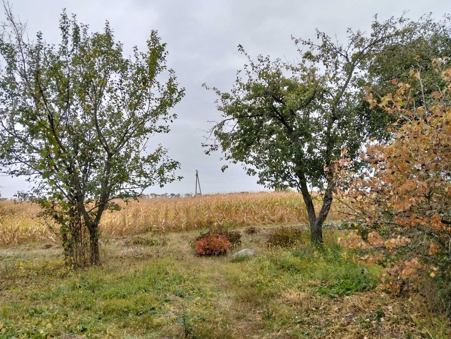 Продам будинок в селі Постольне 14 км. від міста Суми