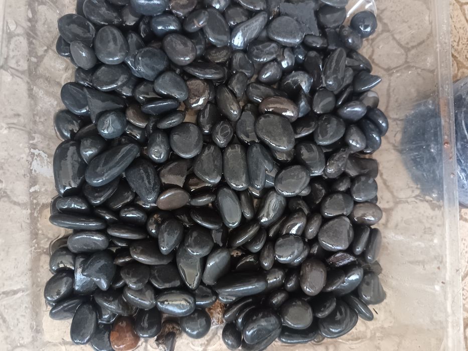 Pedras negras aquário
