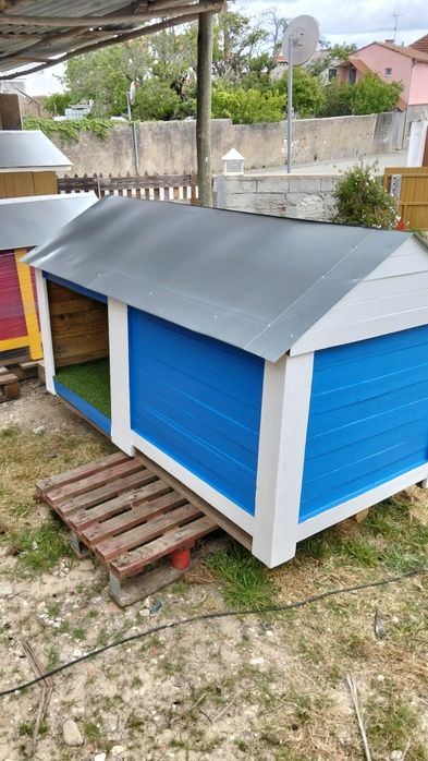 Casota XXL com jardim