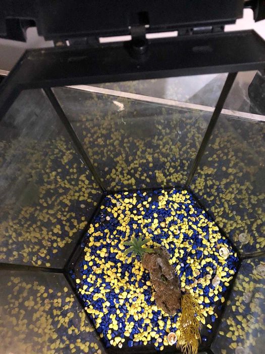 Vendo aquário, tem por volta de 25 litros!!