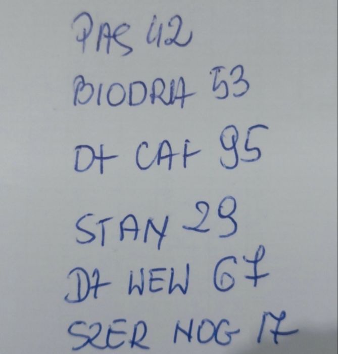 Dżinsy damskie firmy Next