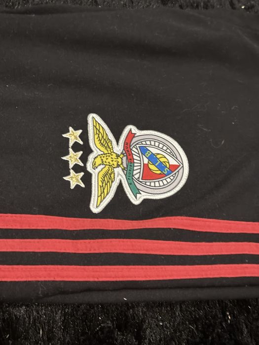 Fato treino Manga Curta Benfica e camisola manga comprida de treino