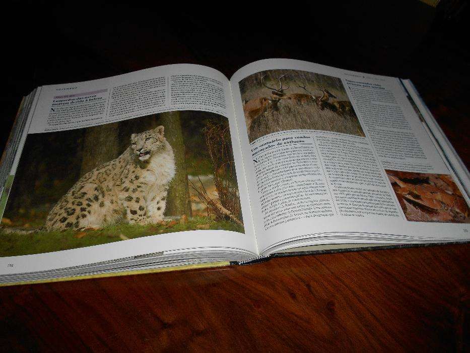 O Mundo Maravilhoso dos Animais Selvagens