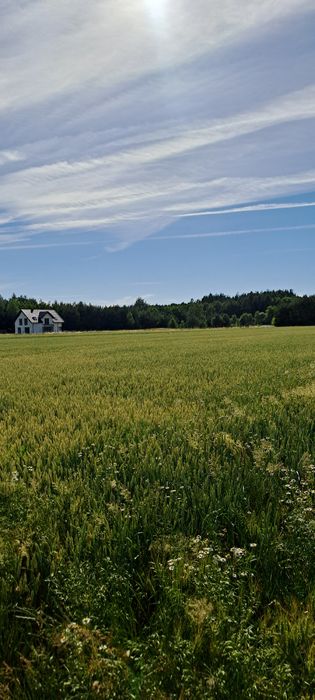 Działka budowlana na Roztoczu. 10km od Zamościa - Widok 6