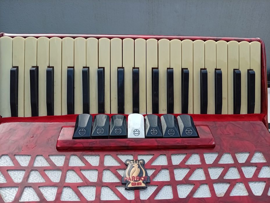 Acordeão Parrot 96 baixos