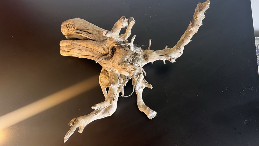 Korzeń do terarium, akwarium