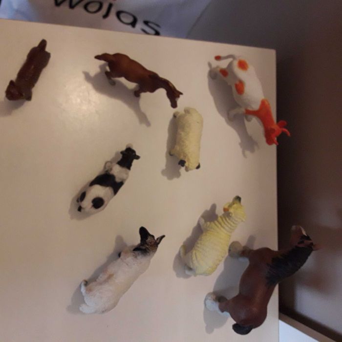 figorki zwierzat domowych