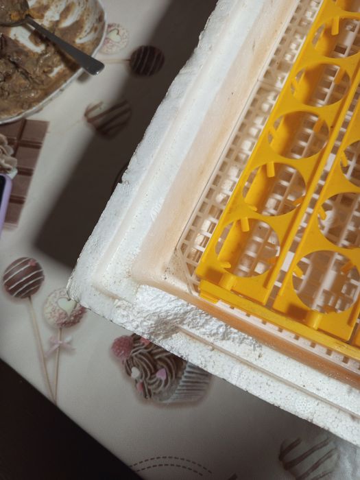 Інкубатор з механізмом перевертання