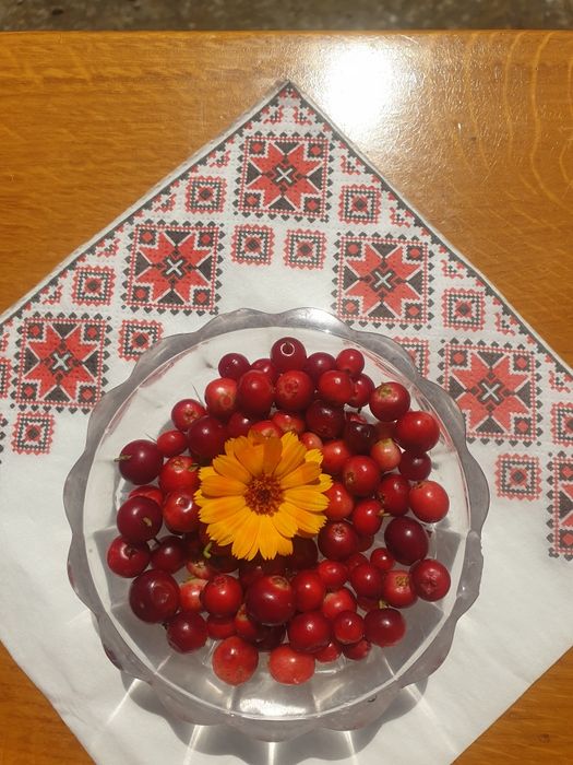 Брусниця карпатська свіжа з цукром ,сушена