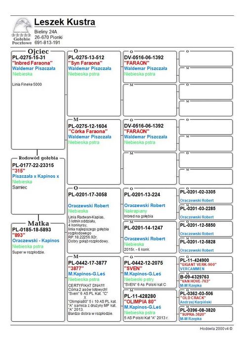 Gołębie pocztowe Leszek Kustra - samiec 2023r nr 10173