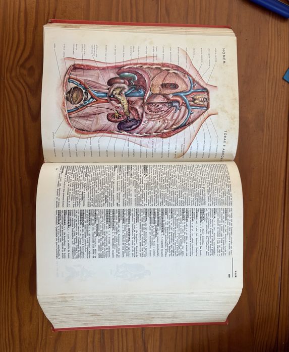 Lello Illustrated Practical Dictionary64752051603714123