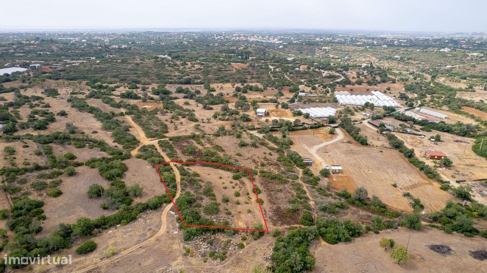 Terreno Rústico de 3.650 m² entre Pechão e Estoi