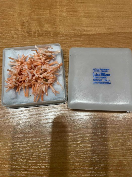 Koralowiec korale z naturalnego kolarowca