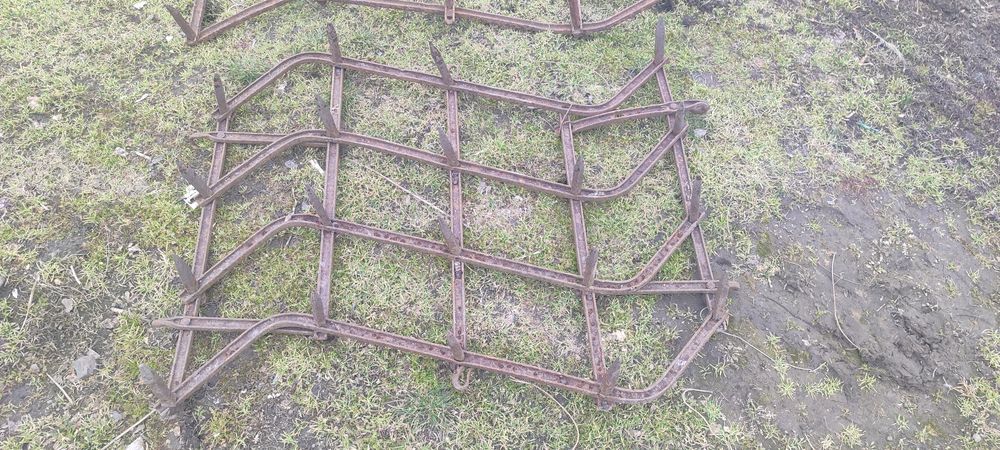 Борона або райборінок