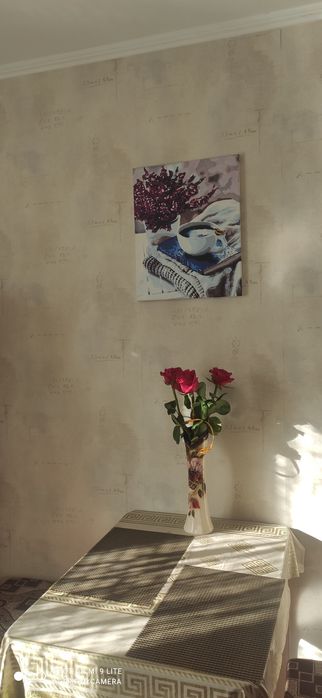 ЦЕНТР!Подобово! 1-кімн