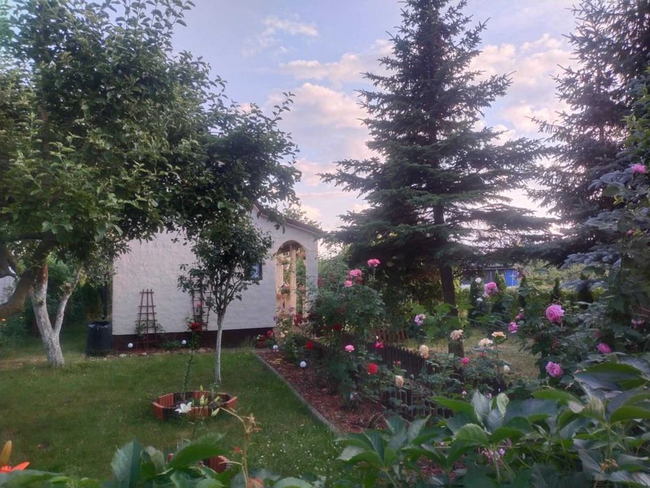 Działka rekreacyjna ROD Rudak Toruń, ogródek działkowy