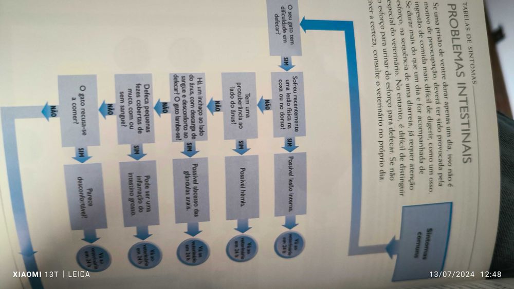 O meu Gato do Dr. Bruce Fogle