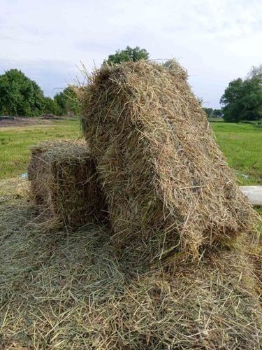 Сіно лугове в тюках