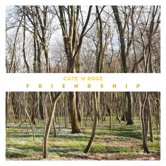 Friendship, Cd   Universal Music Polska