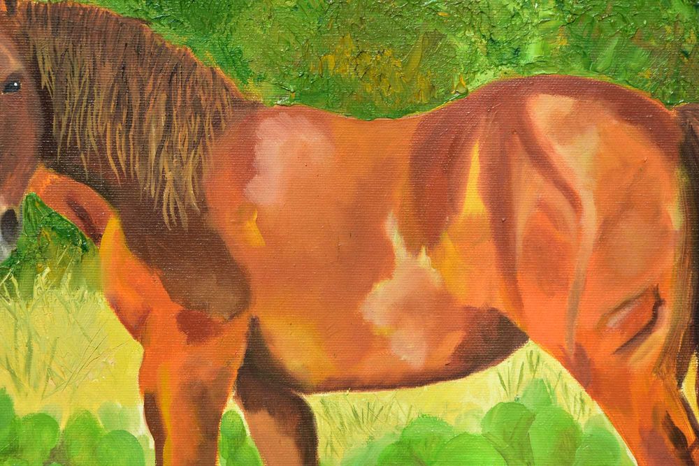 Quadro - Pintura a Óleo Original "O Mustang Selvagem"