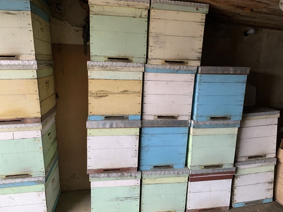 Вулики багатокорпусні