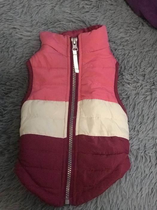 Комбенезон для маленькоі собачки