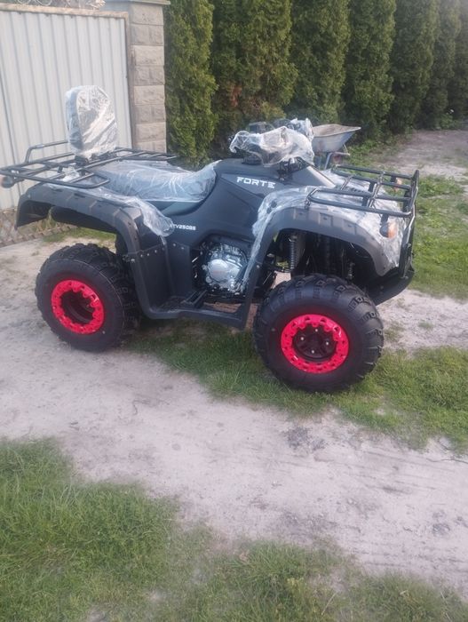 Квадрик форте ATV-250BS