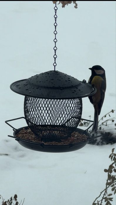 Годівниця для птахів