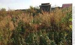 Приму в дар землю под ведение хозяйства